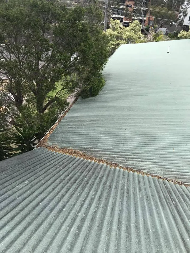 A green metal roof valley lined with leaves before cleaning