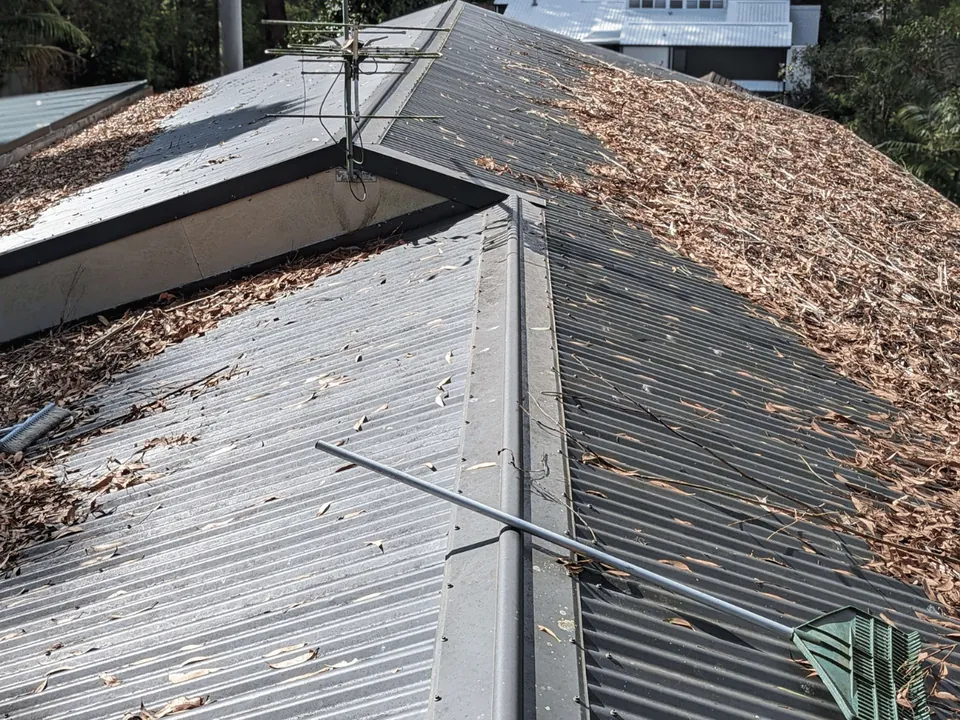 A metal roof covered in gum leaves before cleaning